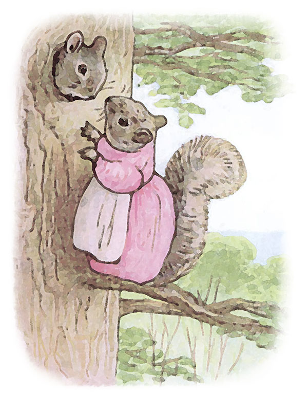 Image from one of Beatrix Potter's illustrated books; The Tale of Timmy Tiptoes.